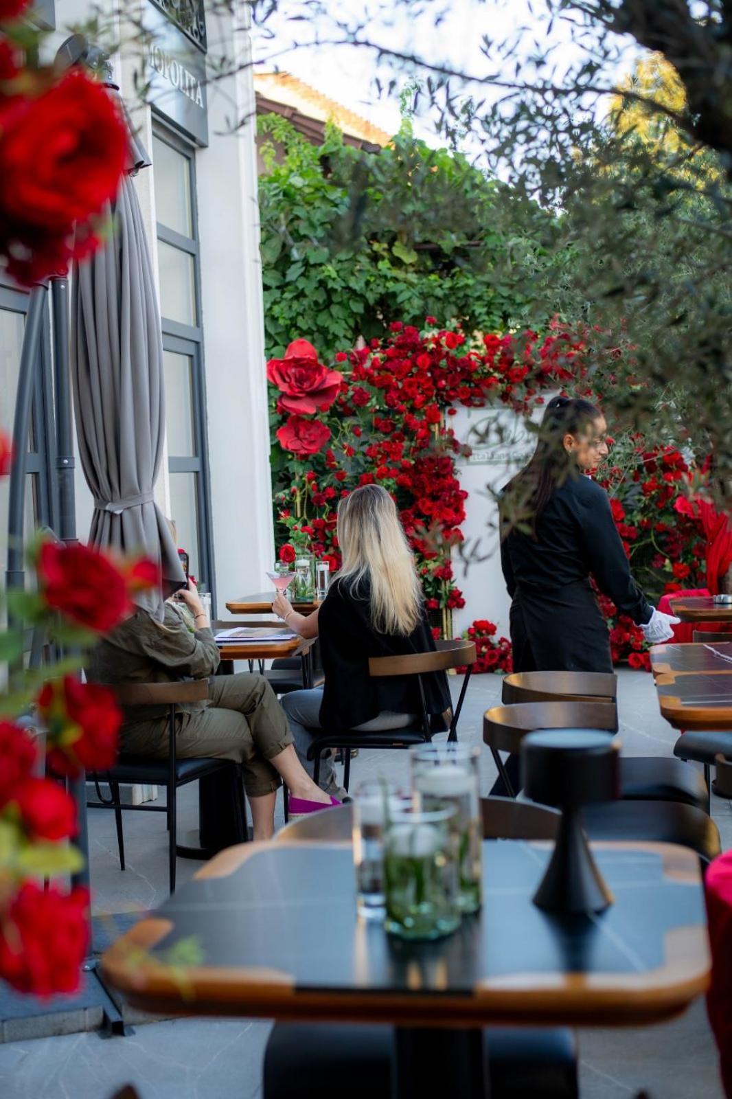 Cosmopolita Boutique Hotel Timişoara Exterior foto